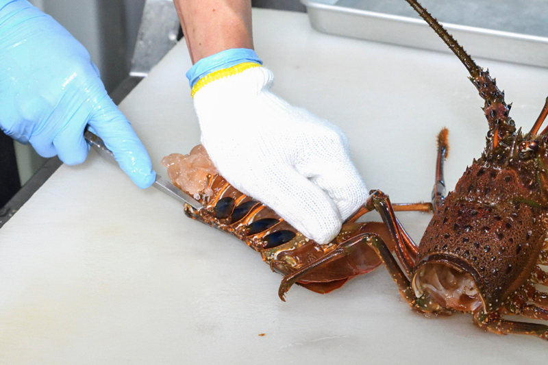 ひもの 美味しい焼き方 浅生のひもの塾 ひもの 美味しい焼き方 浅生のひもの塾