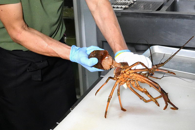 ひもの 美味しい焼き方 浅生のひもの塾 ひもの 美味しい焼き方 浅生のひもの塾